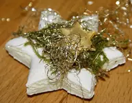 DSC02845(1).webp