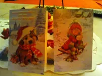 Foto0078.webp