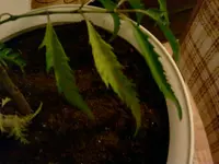 2011-12-05 17.45.41.webp