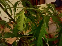 2011-12-05 17.46.31.jpg