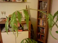 2011-12-05 17.46.41.webp
