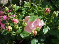 037.webp