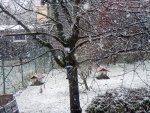 Der1-Schnee002.JPG