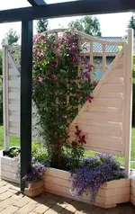 ClematisvonTerrasse_klein.webp