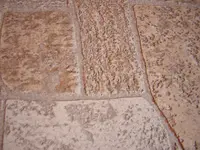 DSCN0698.webp