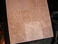 DSCN0700.webp