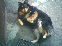 Lucky 03.webp