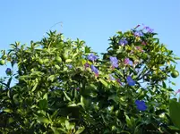 i046.webp