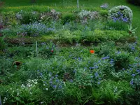 beetetotalblauweiss.webp