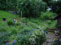 beetetotalmitsteingarten.webp