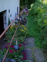blumenkaesten.webp