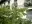 IMGP0656.webp