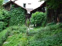 hühnerlauf.webp