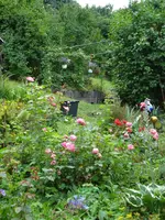 unteresbeetsitzplatz.webp