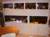 AquaProjekt 072.webp