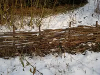 januarschnee01.webp