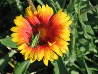 Bild 10.webp