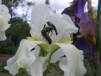 Bild 6.webp