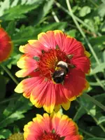 Bild 8.webp