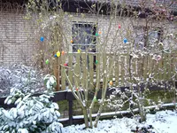 Ostern 2008.webp
