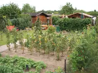 Bild 085.webp Bild 085.webp