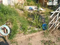 Kopie von Bild a 086.webp Kopie von Bild a 086.webp