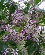 PICT0047.webp