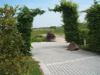 124115 035.webp