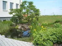 124115 037.webp