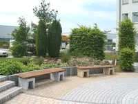 124115 045.webp
