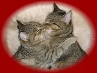 Cleo und Oskar.webp