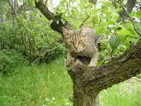 Bild 6 - Cleo -  Was machst du denn da.webp