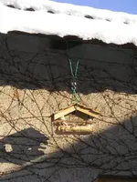 Vogelhaus.webp