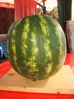 124115 264.webp 124115 264.webp