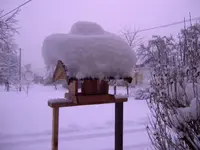 Winter.webp