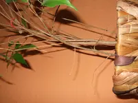 DSCF5053.webp