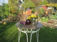 garten 001.webp