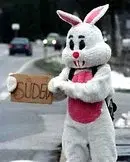 130px-AnhalterBunny.webp