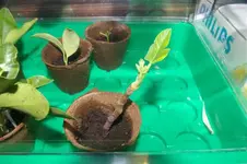 IMGP4343 (Small).webp