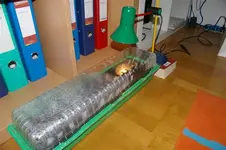 IMGP4344 (Small).webp