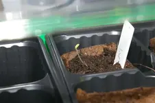 IMGP4345 (Small).webp