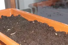 IMGP4354 (Small).webp