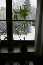 IMGP4351 (Small).webp