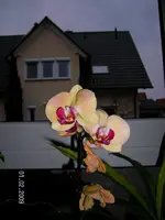 Winter2008 030.webp