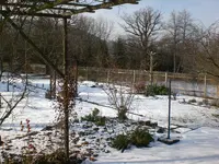 Garten Februar 2009 005.webp