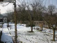 Garten Februar 2009 007.webp