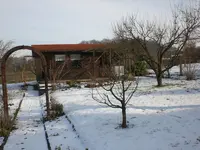Garten Februar 2009 008.webp