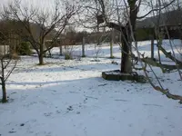 Garten Februar 2009 009.webp