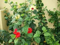 Bild5 004.webp