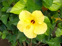 Urlaubsbilder Cuba 009.webp